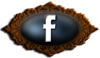 boton web facebook